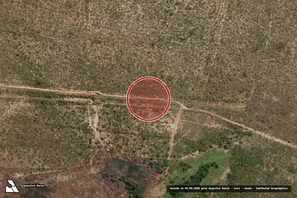 Imagem de satélite de Infração Ambiental em Ponte Alta do Tocantins - TO