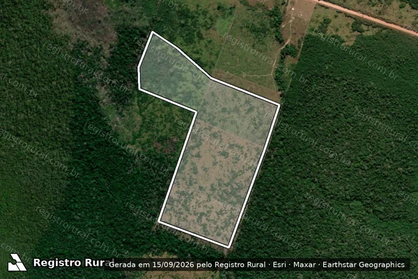 Imagem de satélite — Embargo IBAMA — Infração Ambiental - Humaitá/AM