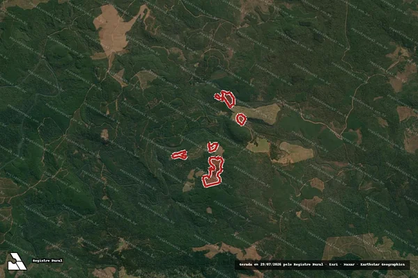 Imagem de satélite — Embargo IBAMA — Infração da Flora — Cruz Machado/PR