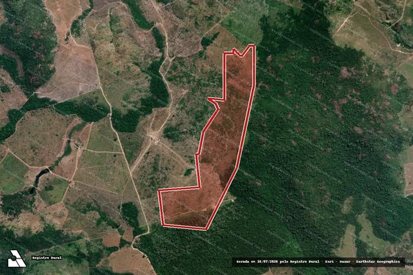 Imagem de satélite de Infração da Flora em Novo Progresso - PA