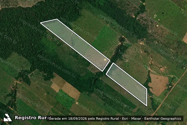 Imagem de satélite — Embargo IBAMA — Infração da Flora - Porto Velho/RO
