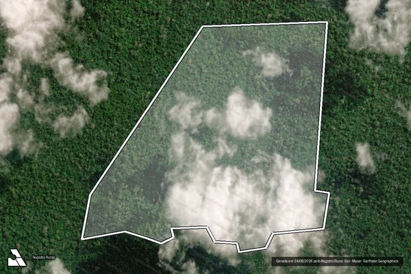 Imagem de satélite de Infração da Flora em Senador José Porfírio - PA