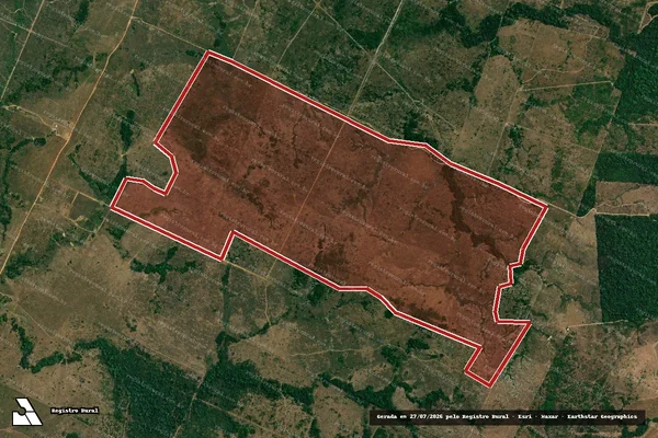 Imagem de satélite de Infração da Flora em Colniza - MT