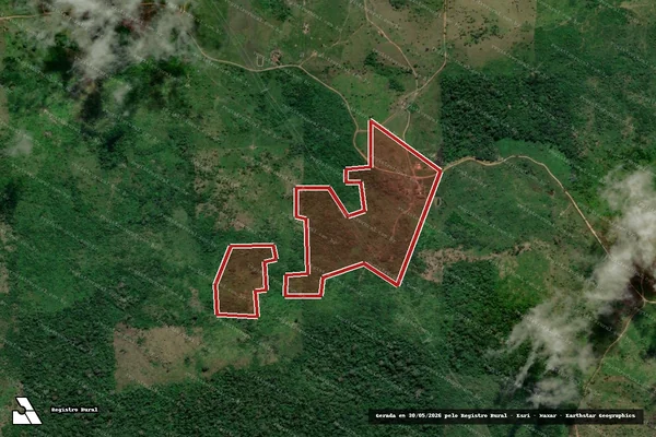 Imagem de satélite de Desmatamento em Anapu - PA