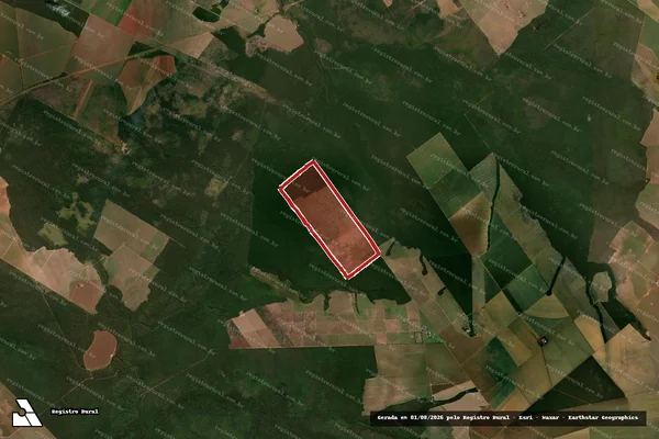 Imagem de satélite — Embargo IBAMA — Infração da Flora — Diamantino/MT