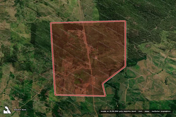 Imagem de satélite — Embargo IBAMA — Infração da Flora — Cacaulândia/RO