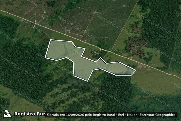 Imagem de satélite — Embargo IBAMA — Infração Ambiental - Humaitá/AM