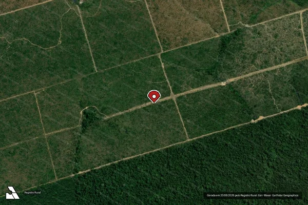 Imagem de satélite de Infração da Flora em Altamira - PA (marcador da localização)