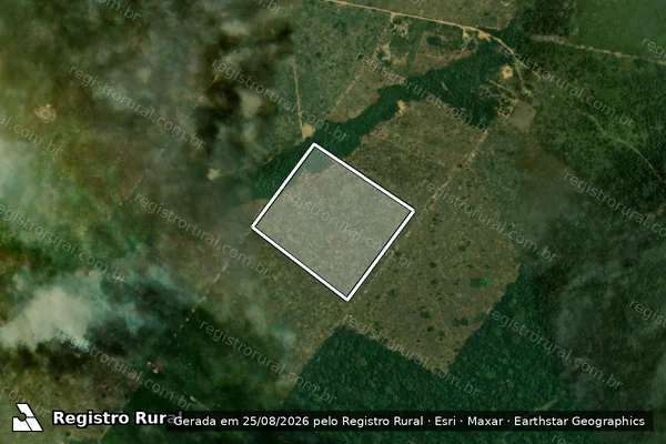 Imagem de satélite de Infração da Flora em Porto Velho - RO