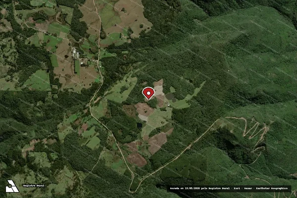 Imagem de satélite de Infração da Flora em São Francisco de Paula - RS (marcador da localização)