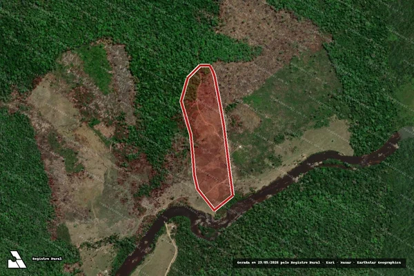 Imagem de satélite — Embargo IBAMA — Infração Ambiental - Amajari/RR