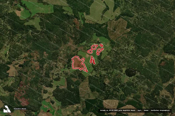 Imagem de satélite — Embargo IBAMA — Desmatamento - Palmas/PR
