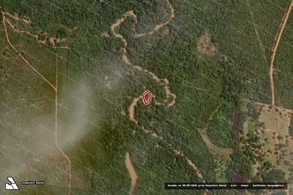 Imagem de satélite de Infração Ambiental em Peixe - TO