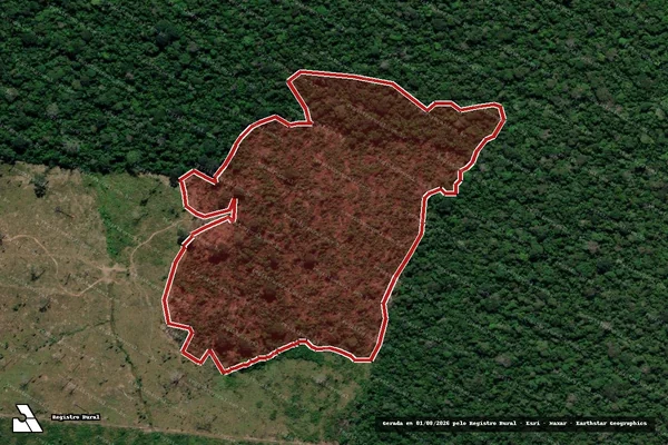 Imagem de satélite de Infração Ambiental em Humaitá - AM