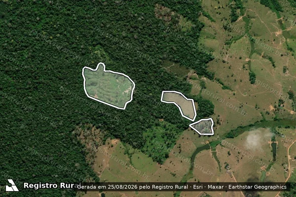 Imagem de satélite de Infração da Flora em Brasiléia - AC
