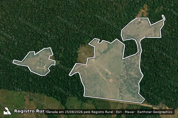 Imagem de satélite — Embargo IBAMA — Infração da Flora — Rio Branco/AC