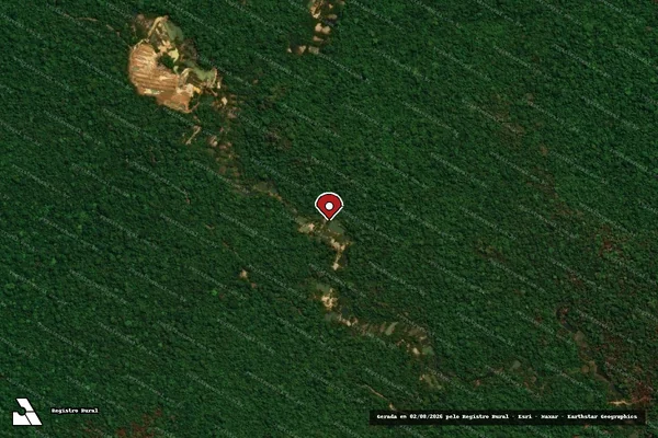 Imagem de satélite — Embargo IBAMA — Infração da Flora — Ourilândia do Norte/PA