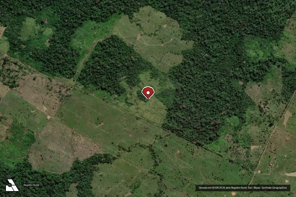 Imagem de satélite de Infração da Flora em Boca do Acre - AM (marcador da localização)