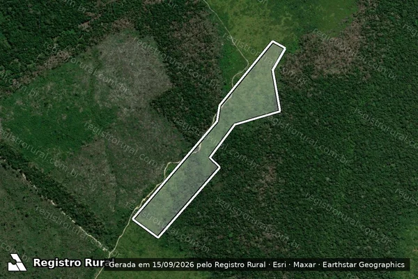 Imagem de satélite — Embargo IBAMA — Infração Ambiental - Apuí/AM