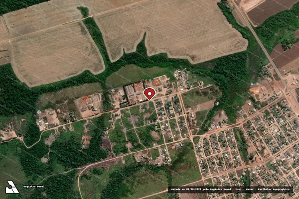 Imagem de satélite de Infração Ambiental em Altamira - PA (marcador da localização)
