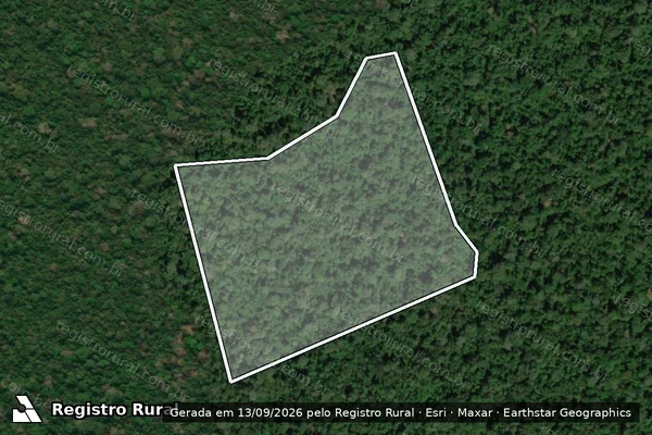 Imagem de satélite de Infração Ambiental em Porto Velho - RO