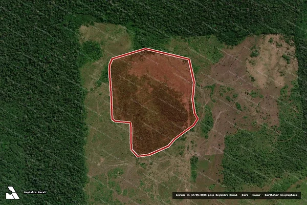 Imagem de satélite de Desmatamento em Boca do Acre - AM