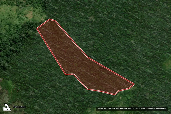Imagem de satélite de Infração da Flora em Marechal Thaumaturgo - AC