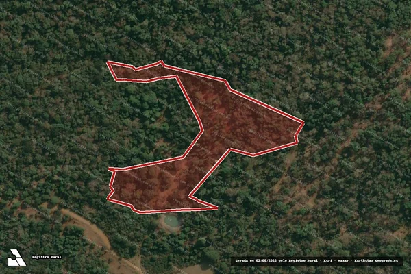 Imagem de satélite de Infração da Flora em Cruz Machado - PR