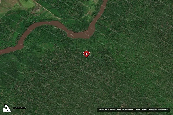 Imagem de satélite de Infração da Flora em Rorainópolis - RR (marcador da localização)