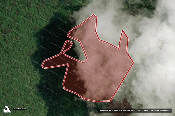 Imagem de satélite de Infração da Flora em Caracaraí - RR