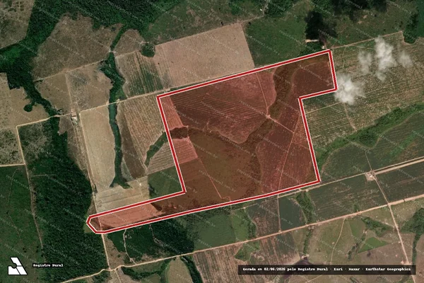 Imagem de satélite de Infração da Flora em Novo Progresso - PA