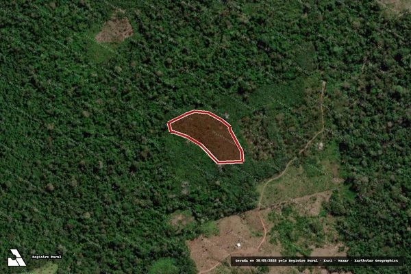 Imagem de satélite de Infração da Flora em Uruará - PA