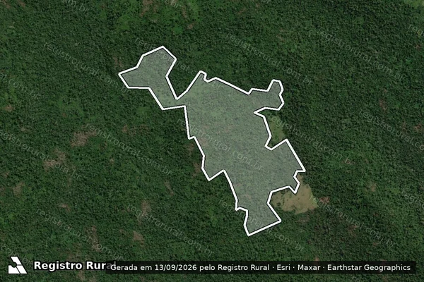 Imagem de satélite de Infração Ambiental em São Félix do Xingu - PA