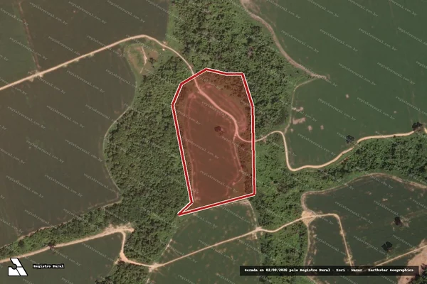 Imagem de satélite de Infração da Flora em Novo Progresso - PA