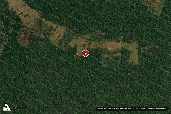 Imagem de satélite de Infração da Flora em Sena Madureira - AC (marcador da localização)