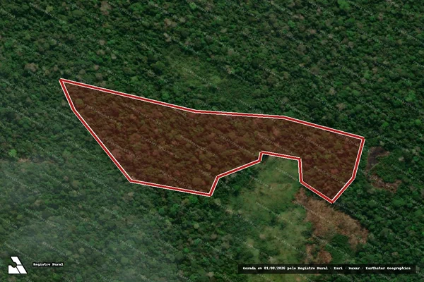 Imagem de satélite de Infração Ambiental em Boca do Acre - AM