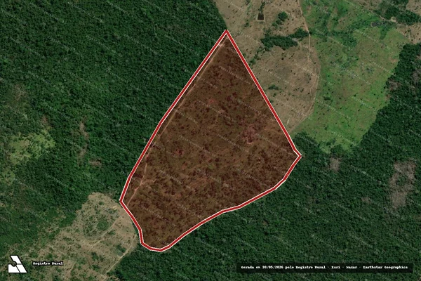 Imagem de satélite de Infração da Flora em Anapu - PA