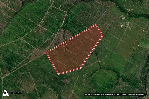 Imagem de satélite de Infração da Flora em Apuí - AM