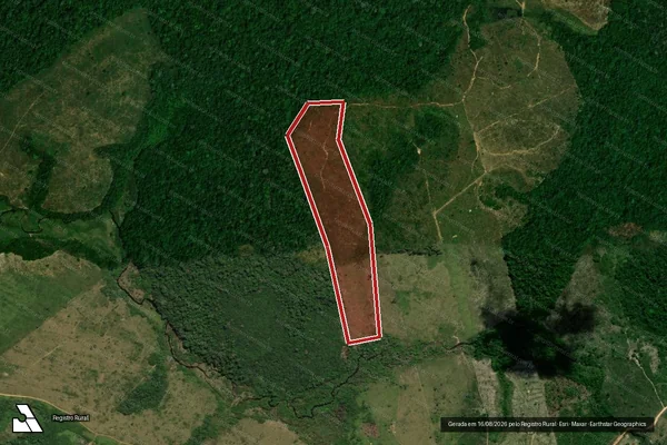 Imagem de satélite de Infração da Flora em Pacajá - PA