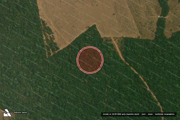Imagem de satélite de Infração da Flora em Alta Floresta - MT