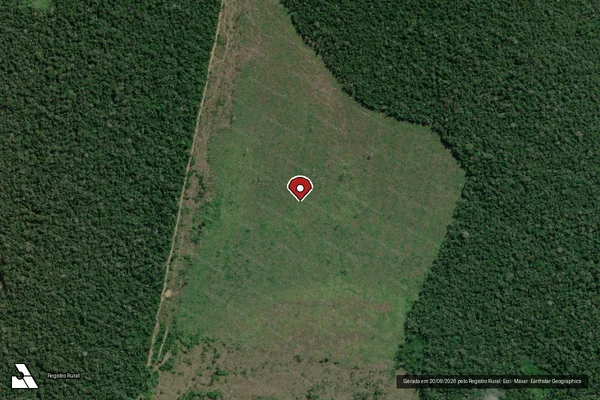 Imagem de satélite de Infração da Flora em Boca do Acre - AM (marcador da localização)
