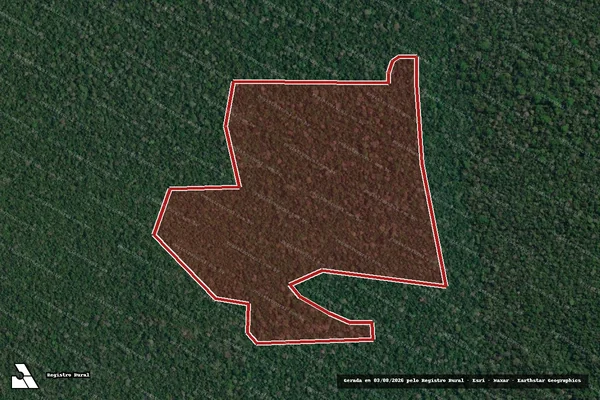 Imagem de satélite de Infração Ambiental em Lábrea - AM