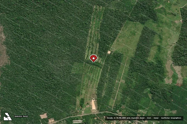 Imagem de satélite de Infração da Flora em Santarém - PA (marcador da localização)