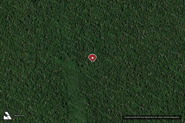 Imagem de satélite de Infração Ambiental em Colíder - MT (marcador da localização)