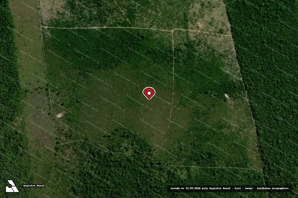 Imagem de satélite de Infração da Flora em Santa Terezinha - MT (marcador da localização)