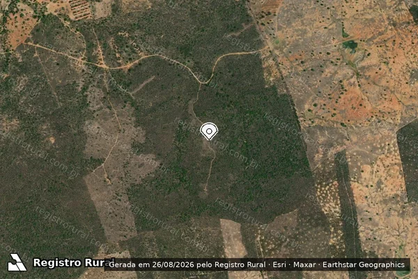 Imagem de satélite — Embargo IBAMA — Infração da Flora — Tuparetama/PE