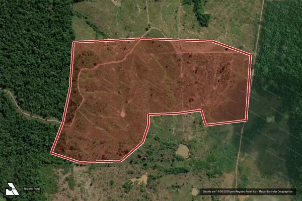 Imagem de satélite de Infração da Flora em Goianésia do Pará - PA