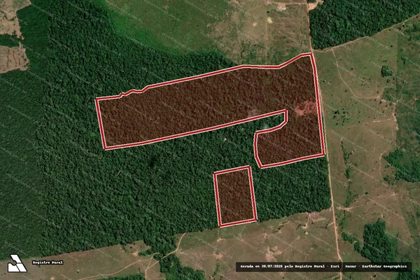 Imagem de satélite de Infração da Flora em Porto Velho - RO