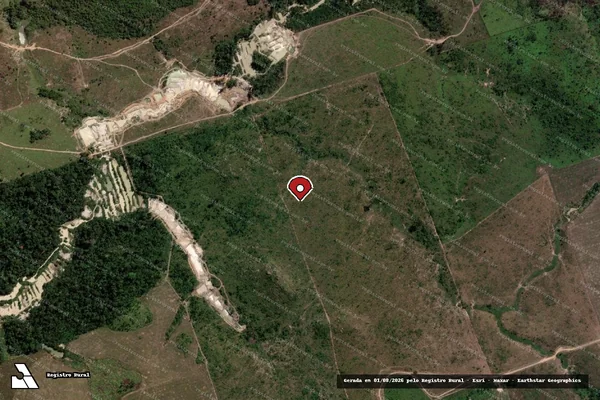 Imagem de satélite de Infração da Flora em Novo Progresso - PA (marcador da localização)
