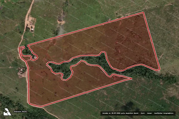 Imagem de satélite de Infração da Flora em Novo Progresso - PA